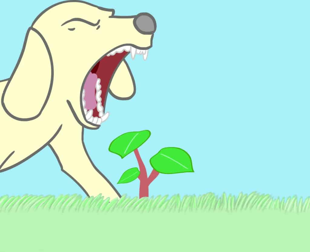 2d animation studio